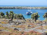 Galapagos (Mar 2009) - Day 04 - 054
